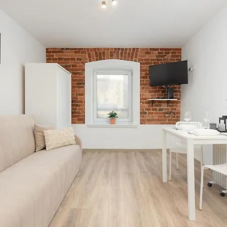 Apartment Gently Arranged In The Center Of By Renters Lodz